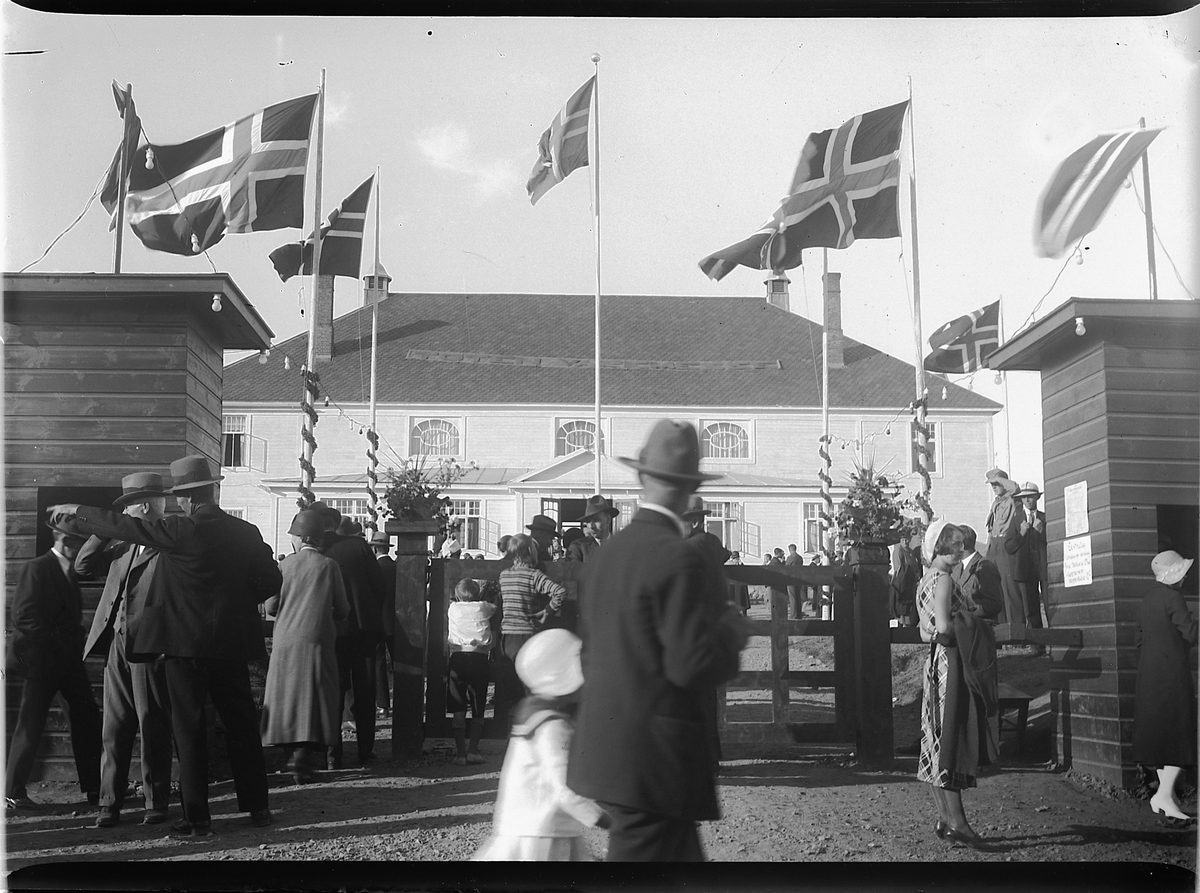 Mikkel Sveinhaug, LILLEHAMMERUTSTILLINGEN 1912, FOLK NORSKE FLAGG.