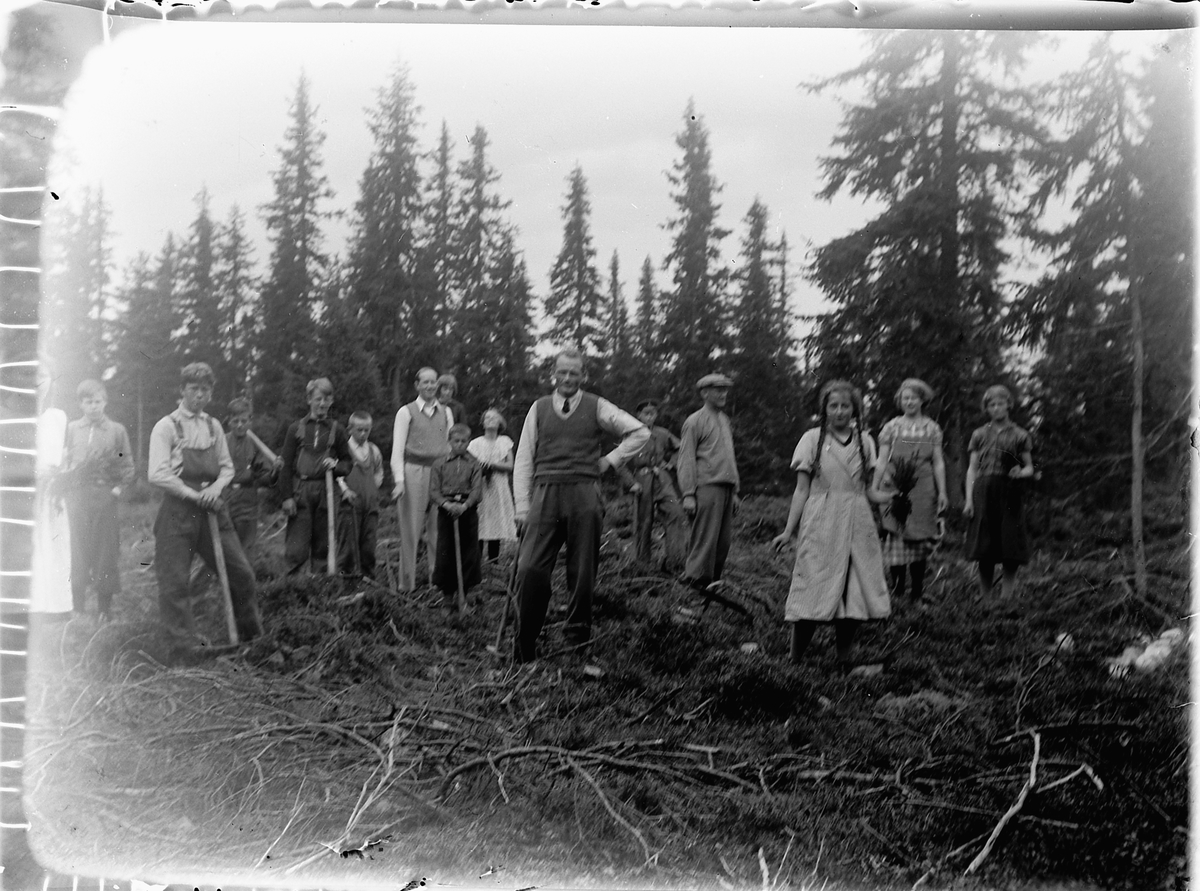 Mikkel Sveinhaug, SKOGPLANTING?, UKJENTE BARN OG VOKSNE.