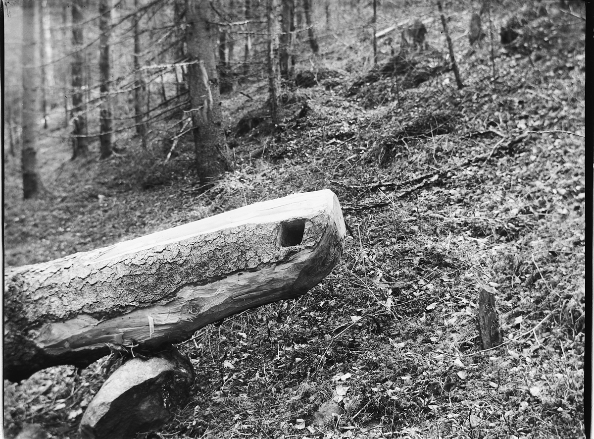 Ole Hansen Løken, TØMMERSTOKK, DETALJ, ØYE OG SNEI, SKOGBRUK.