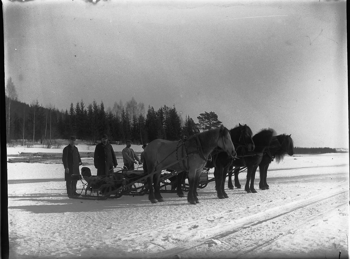 Ole Hansen Løken, HESTER OG SLEDER PÅ MJØSISEN, BOTSENDEN, VELDRE. F. V. LARS STORLIEN BOGSTI, LARS TOKSTAD, HANS PÅLSRUD OG OLE STORLIEN. BILDET ER TATT I FORBINDELSE MED TØMMERMERKING.