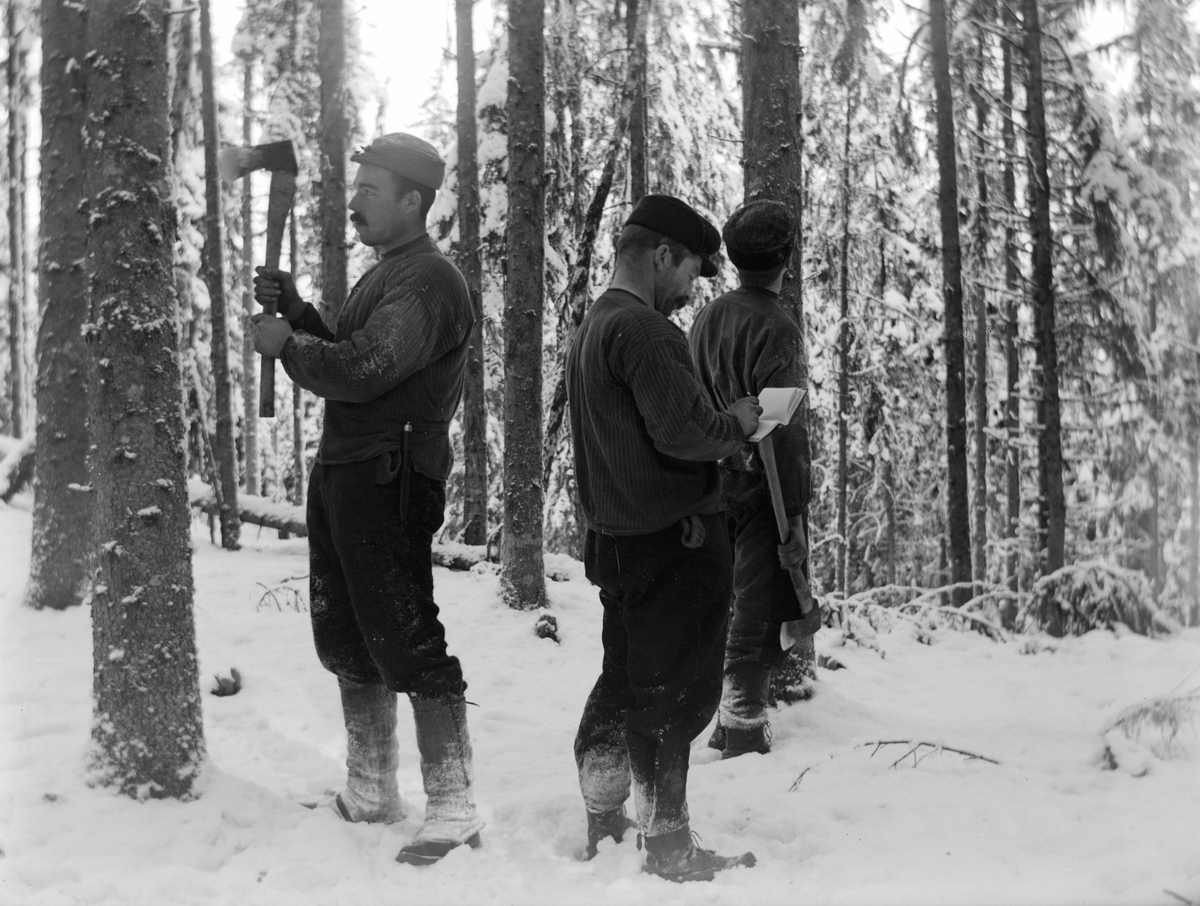 Ole Hansen Løken, MERKING I TØMMERSKOGEN FØR HOGGING, SKOGSARBEIDERE, BLINKING. 3 UKJENTE, MENN.