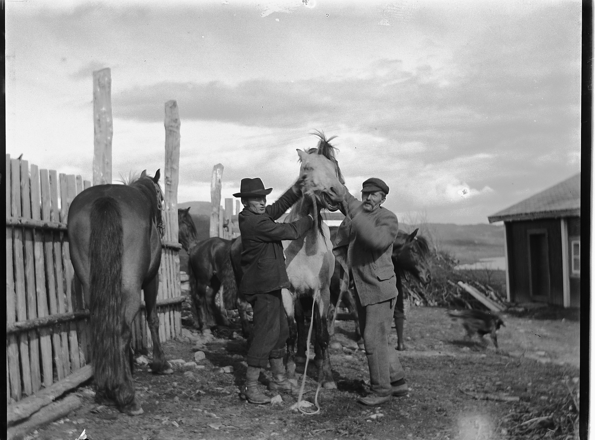 Ole Hansen Løken, TO MENN OG HESTER PÅ SETER, T. V. UKJENT OG T. H. JOHAN HÅRSTAD GARDSBESTYRER PÅ TOKSTAD.