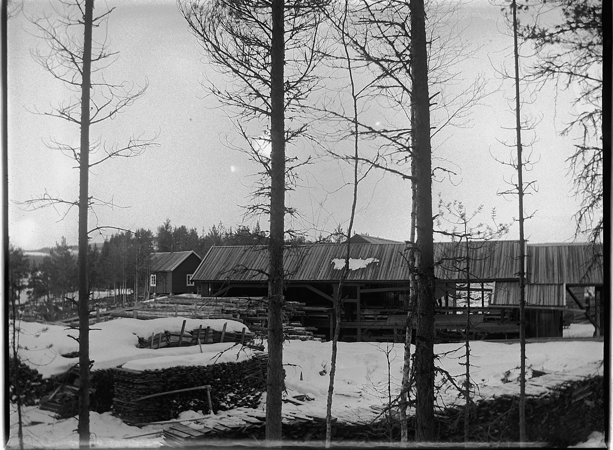 Ole Hansen Løken, BUVIKA, SAGBRUK, NÆROSET, RINGSAKER ALMENNING.