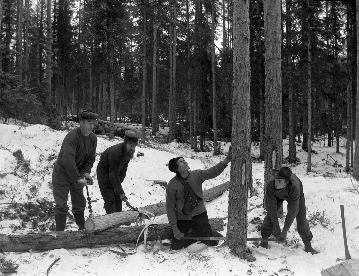 Ole Hansen Løken, Skogbruk. Tømmerhoggere. Felling, barking og øying av tømmer. Mann nr. 3 f. v. med stikksaga er Håken Nymoen, de andre ukjente. Stokksag, øks, øying med navar.