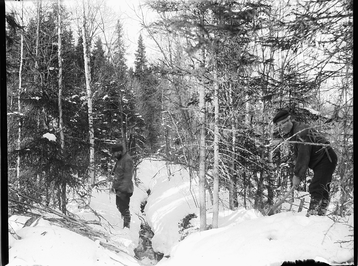 Ole Hansen Løken, SKOGBRUK, TO UKJENTE SKOGSARBEIDERE.
