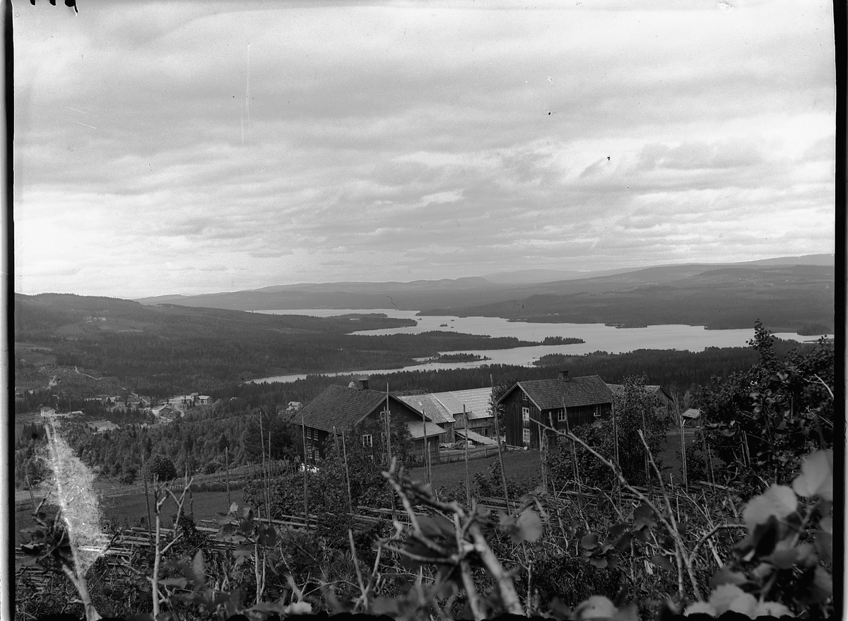 Ole Hansen Løken, LANDSKAP, UTSIKT MOT NÆRA i Ringsaker. KVISLA ØVRE GARD. HER SATT TRYGGVE ANDERSEN OG SKREV " I CENCELLIRAADENS DAGE ".