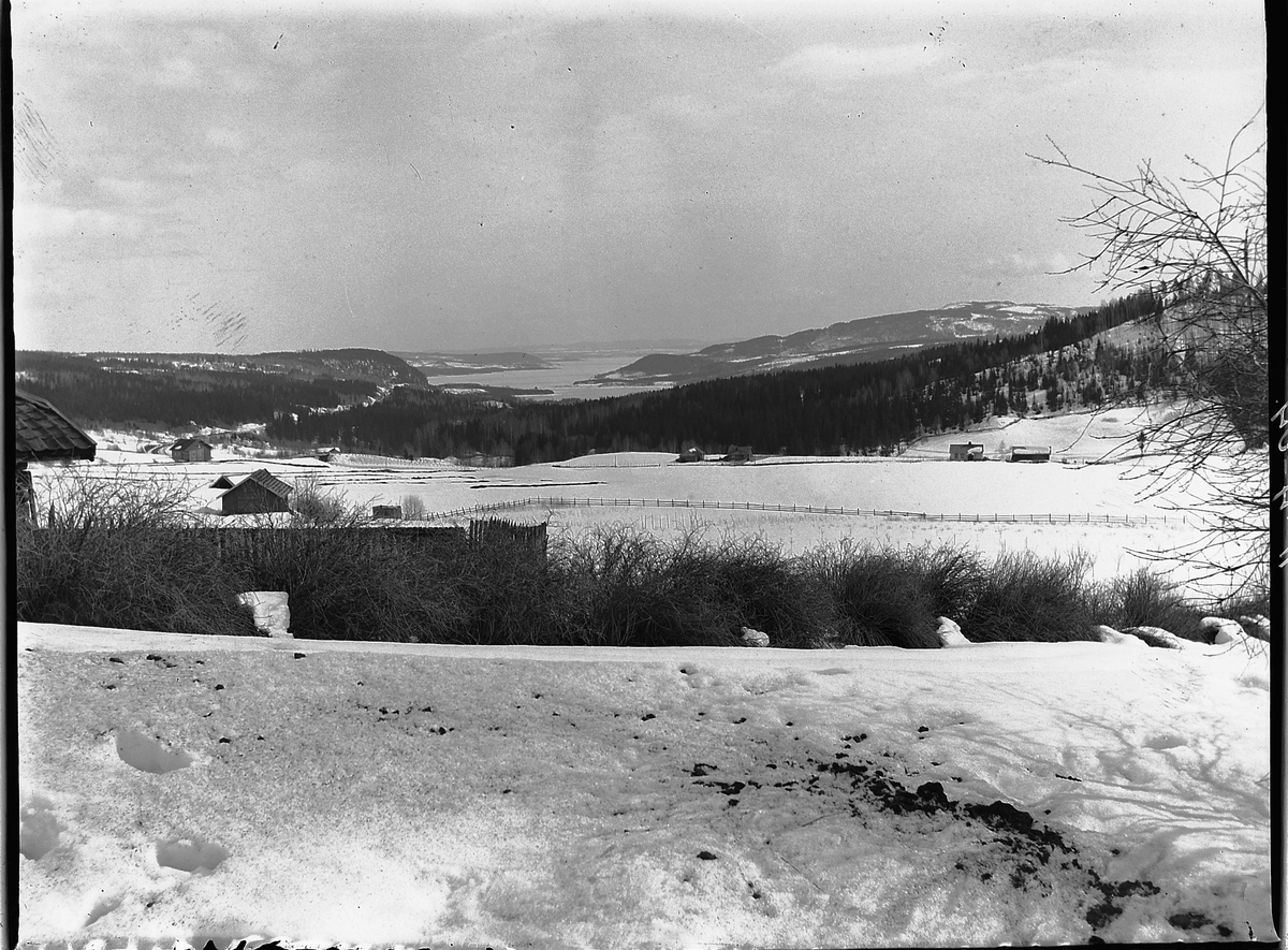 Ole Hansen Løken, LANDSKAP, UTSIKT RUDSHØGDA i Ringsaker, VELDRE MOT FURNESFJORDEN, MJØSA.