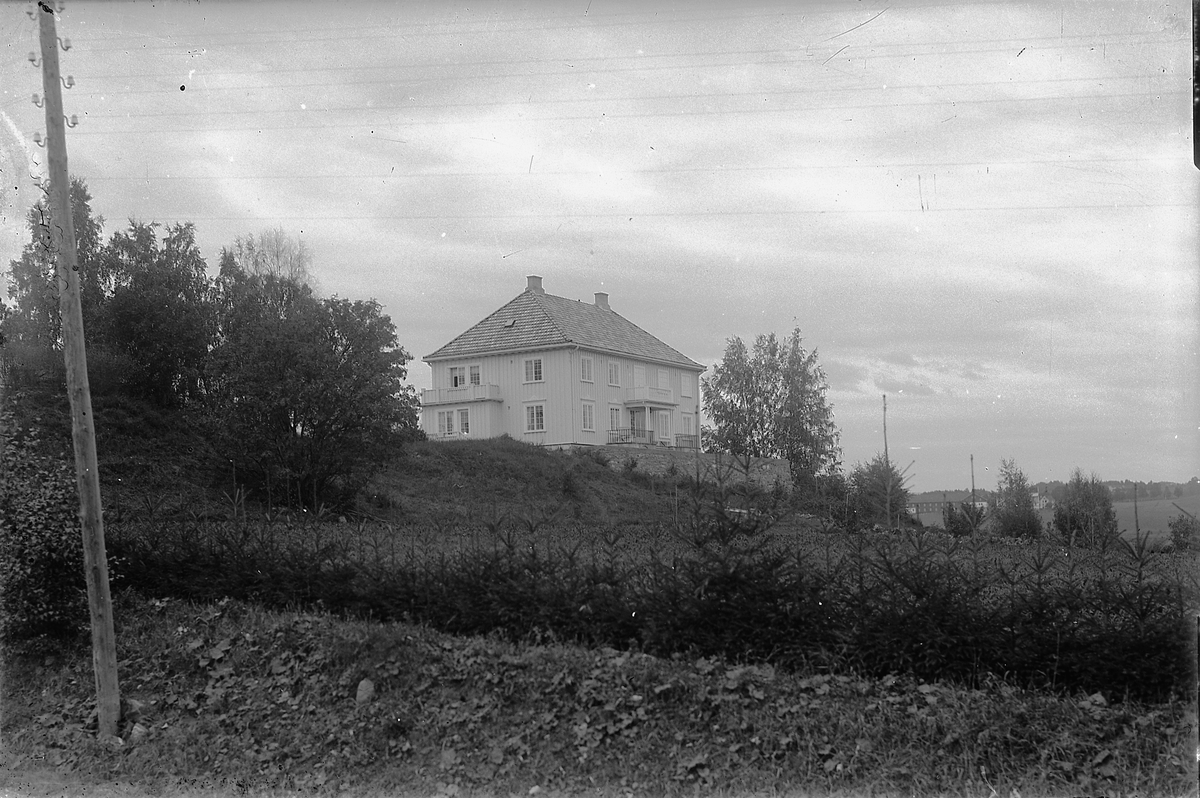Oscar Løberg, CARL DIESENS VILLA PÅ DISEN, Hamar. I BAKGRUNNEN SÆLI GARD.