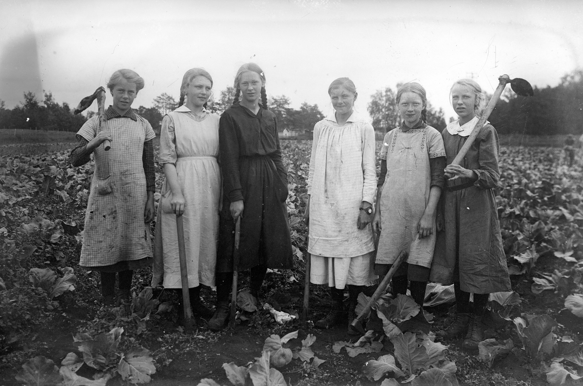 Oscar Løberg, BARN I ARBEID I KÅLÅKER, REDSKAPER. RENSEHAKKE. GRUPPE 6 JENTER I KJOLE.