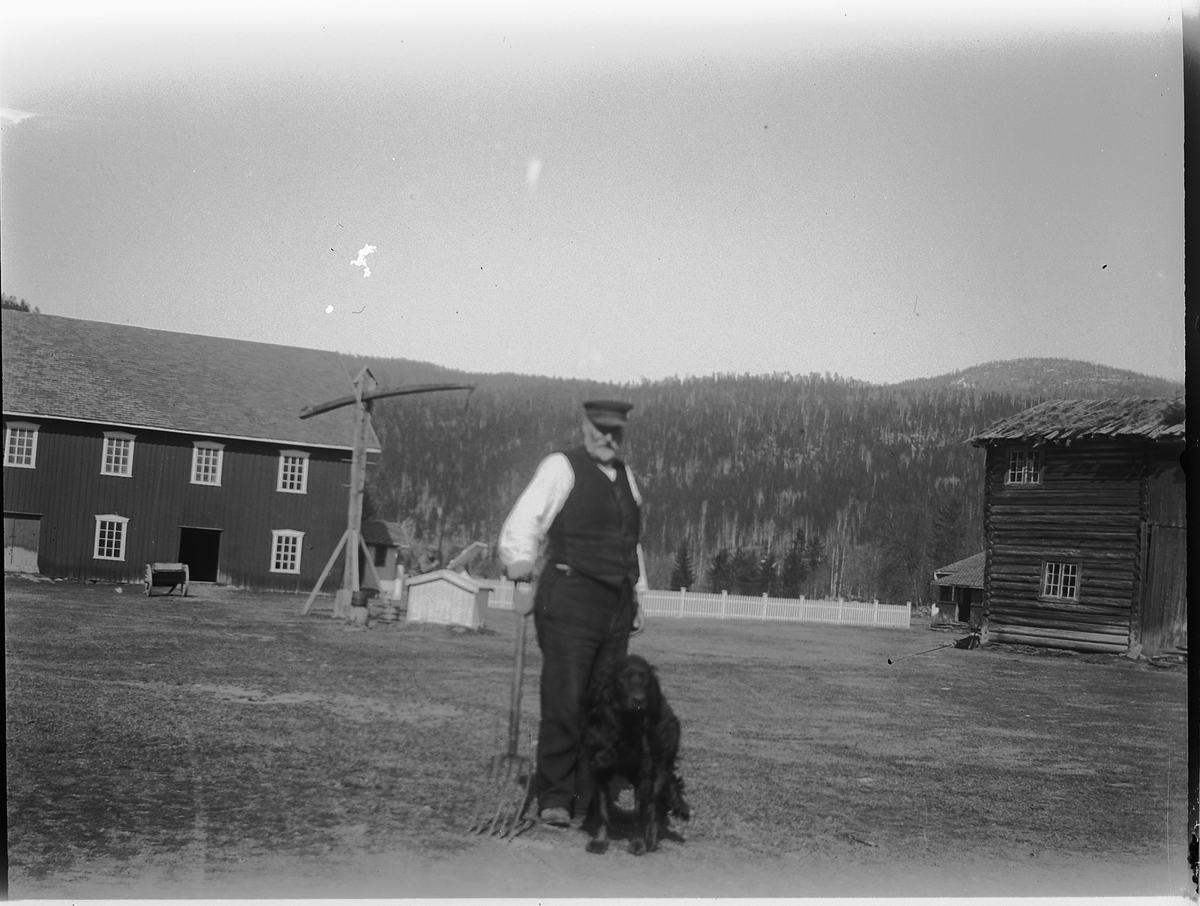 Johs. (Johannes) Johannessen, Fra Trønnes i Stor-Elvdal? En mann og en hund på et gardstun.