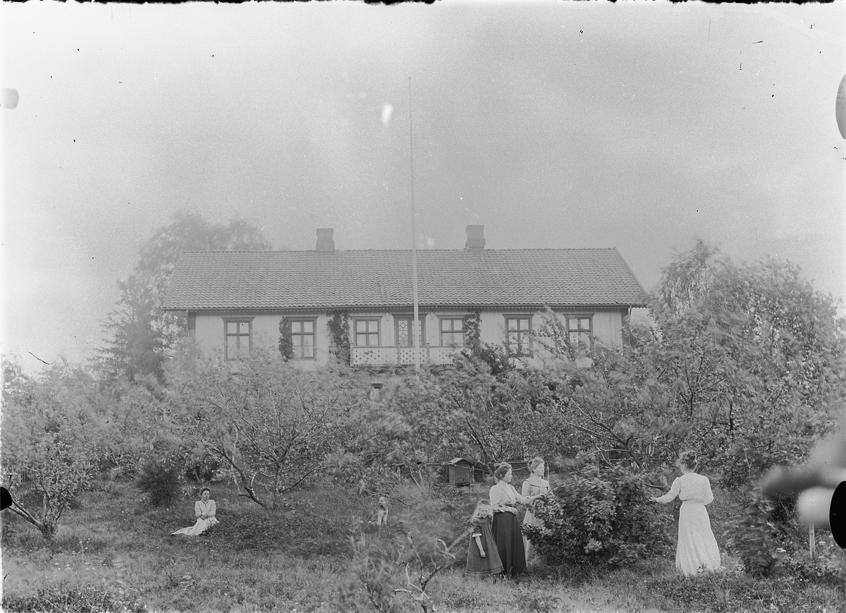Mina Skraastad, Fire kvinner og ei jente i en hage. Plukker bær? Et hus i bakgrunnen.