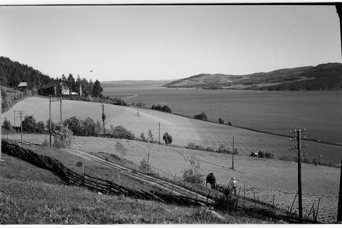 Håkon Prestkværn, Landskap, Freng, Brøttum, våronn med hest, mjøslandskap, lystolper, telefonstolper.