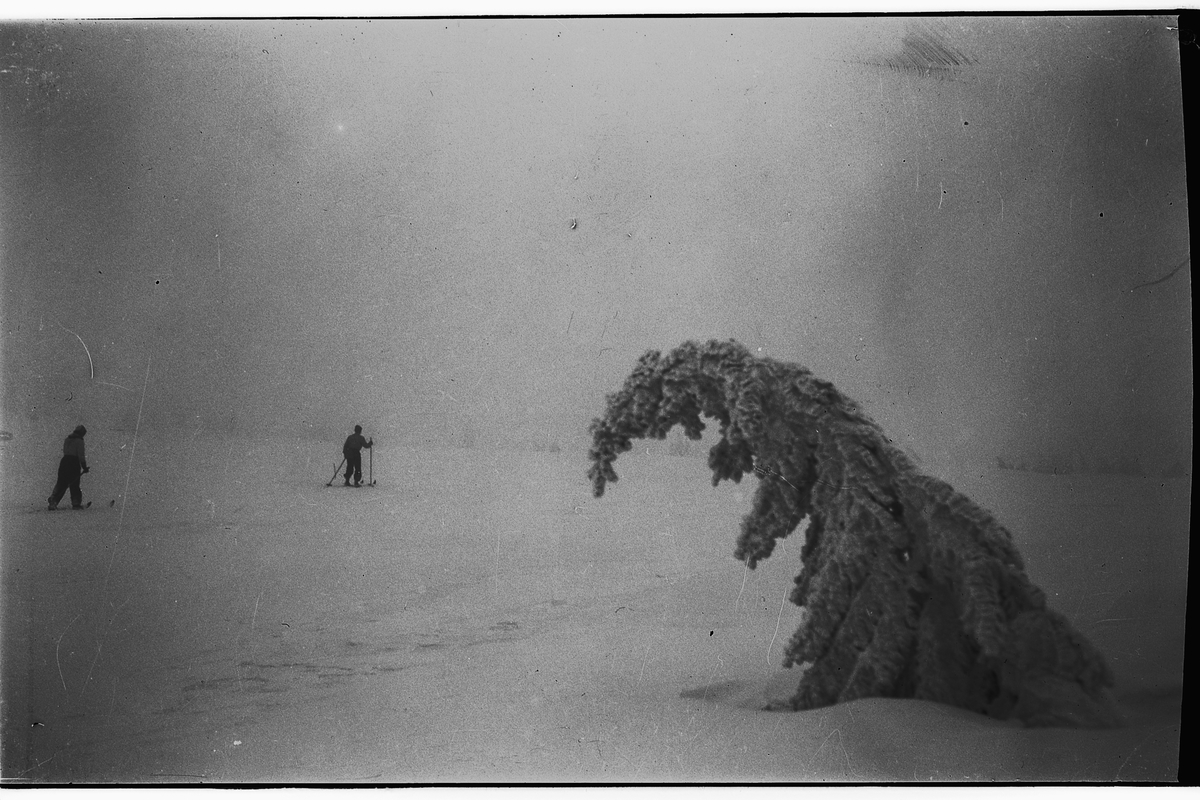 Håkon Prestkværn, PÅ SKI I TÅKE, RINGSAKFJELLET.