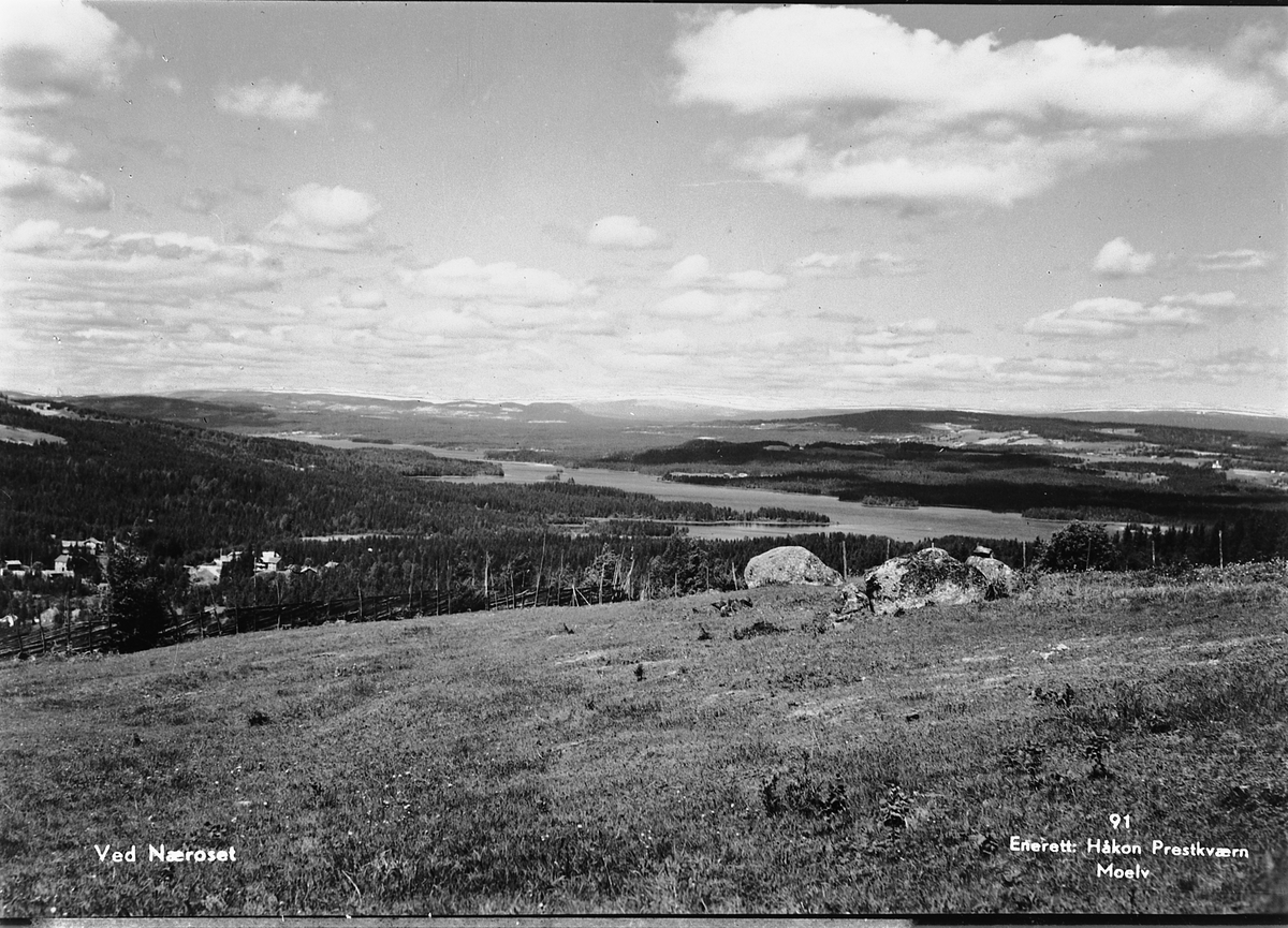 Håkon Prestkværn, Ved Næroset. Postkort. Foto Håkon Prestkværn, Moelv. No. 91. Utsikt mot Næroset og Næra. Ringsaker. Kulturlandskap.