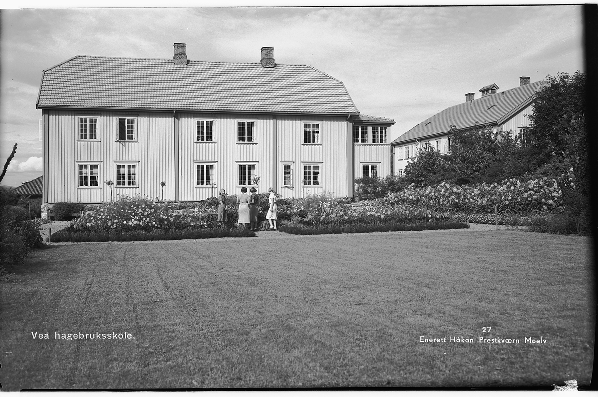 Håkon Prestkværn, VEA HAGEBRUKSSKOLE PÅ RING. Postkort.