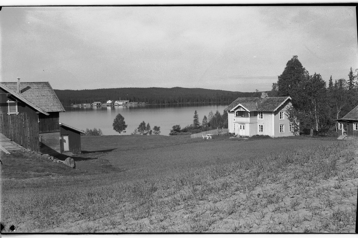 Håkon Prestkværn, Haug gard, Bergundhaugen, Mesnalia, Sør-Mesna, Ringsaker.