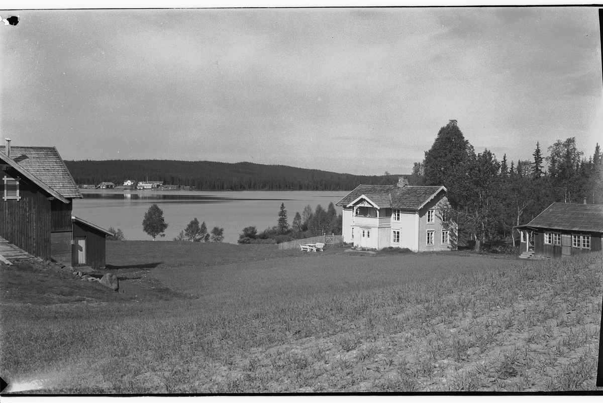 Håkon Prestkværn, Haug gard, Bergundhaugen, Mesnalia, Sør-Mesna, Ringsaker.