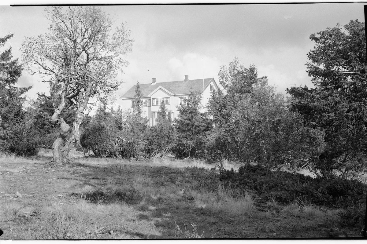 Håkon Prestkværn, HYGGA PENSJONAT, LJØSHEIM, Ringsaker.