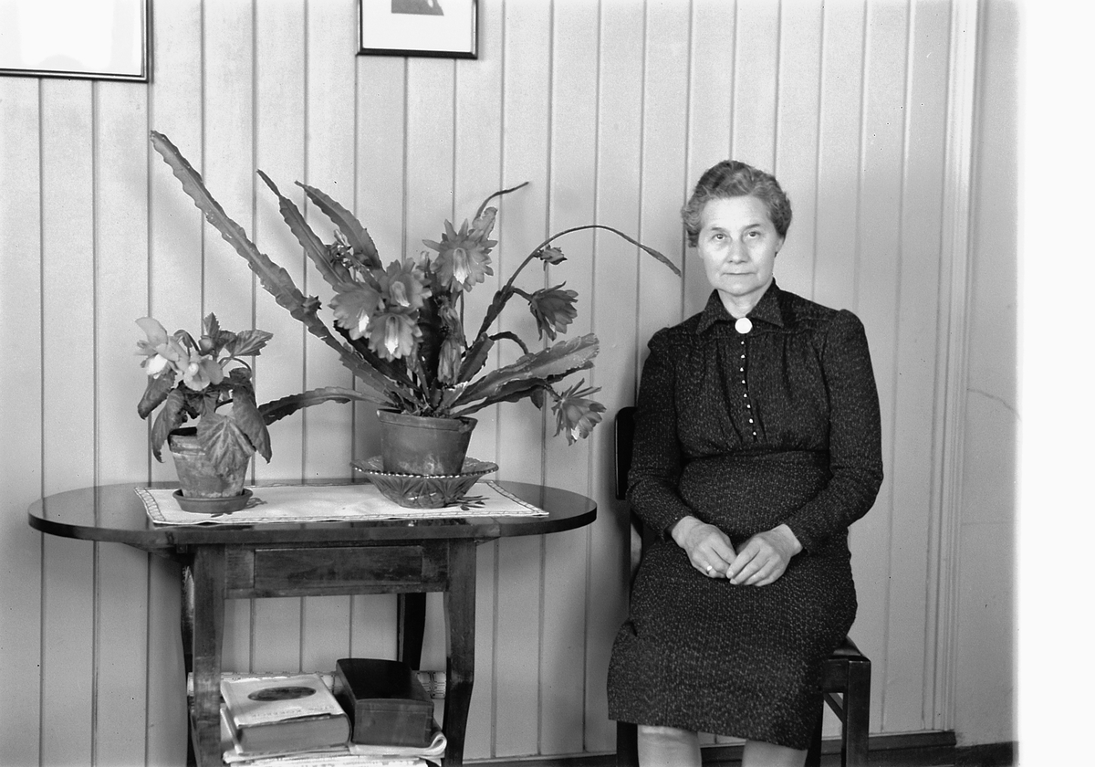 Håkon Prestkværn, KVINNE VED BLOMSTRERBORD, JOHANNE WESTERAAS.
