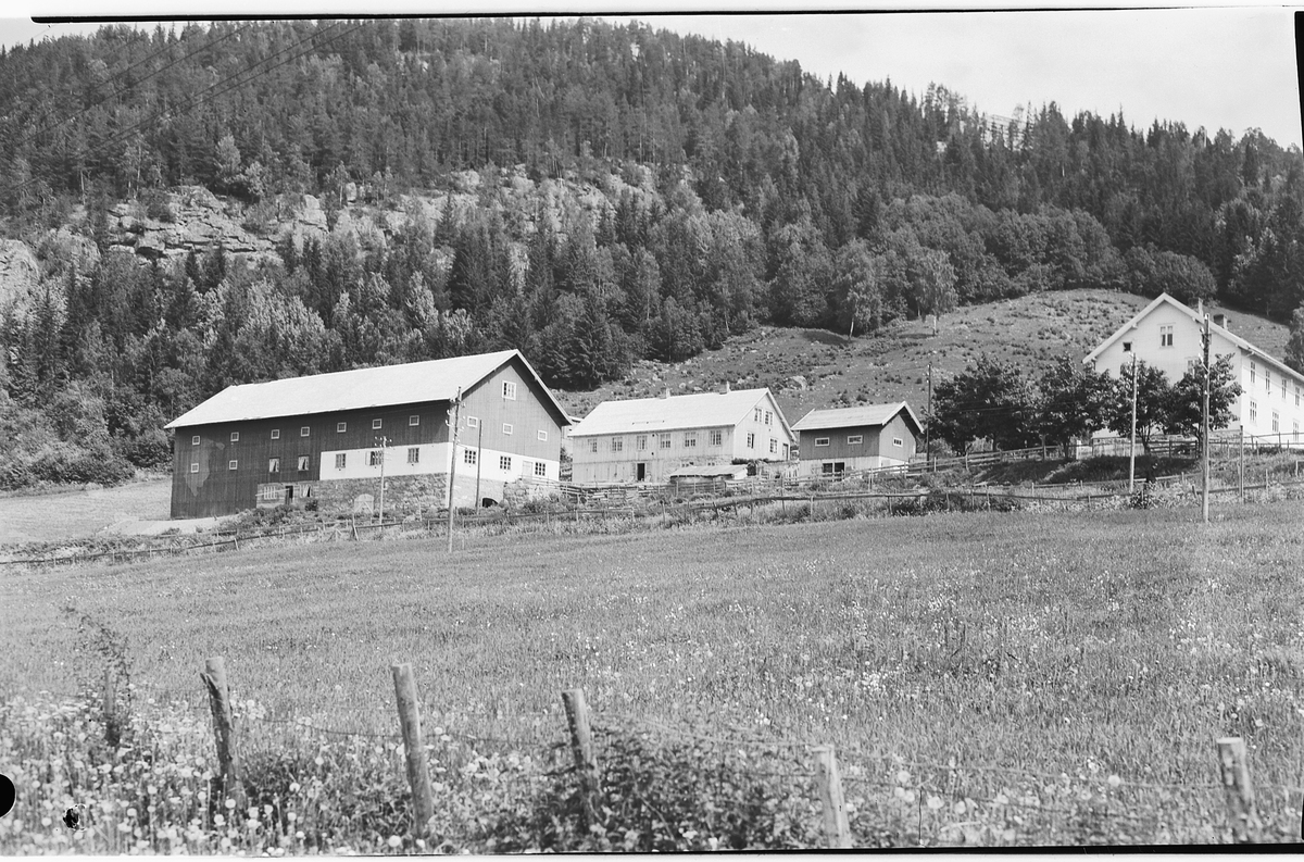 Håkon Prestkværn, RISE GARD, RING.