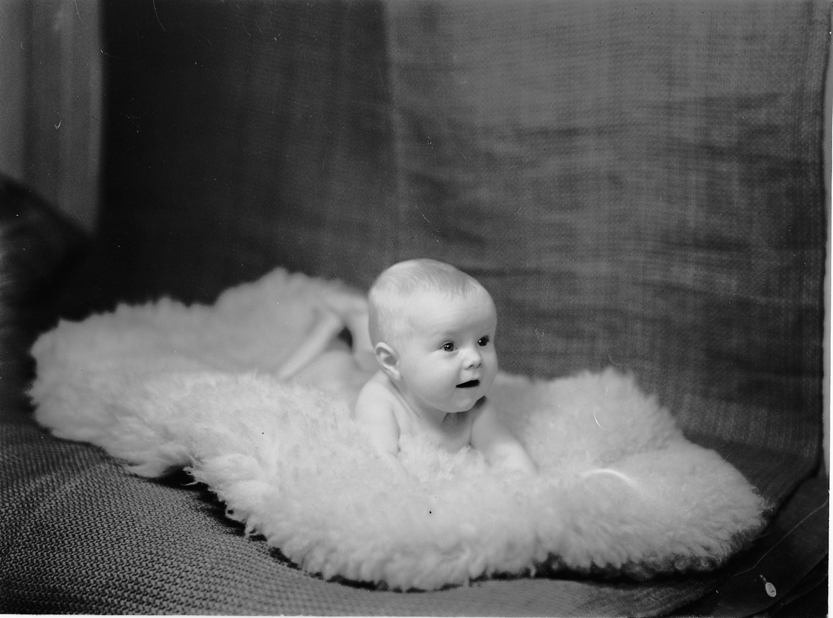 Håkon Prestkværn, FAMILIE, BARN, OLAF TORGUNRUD.