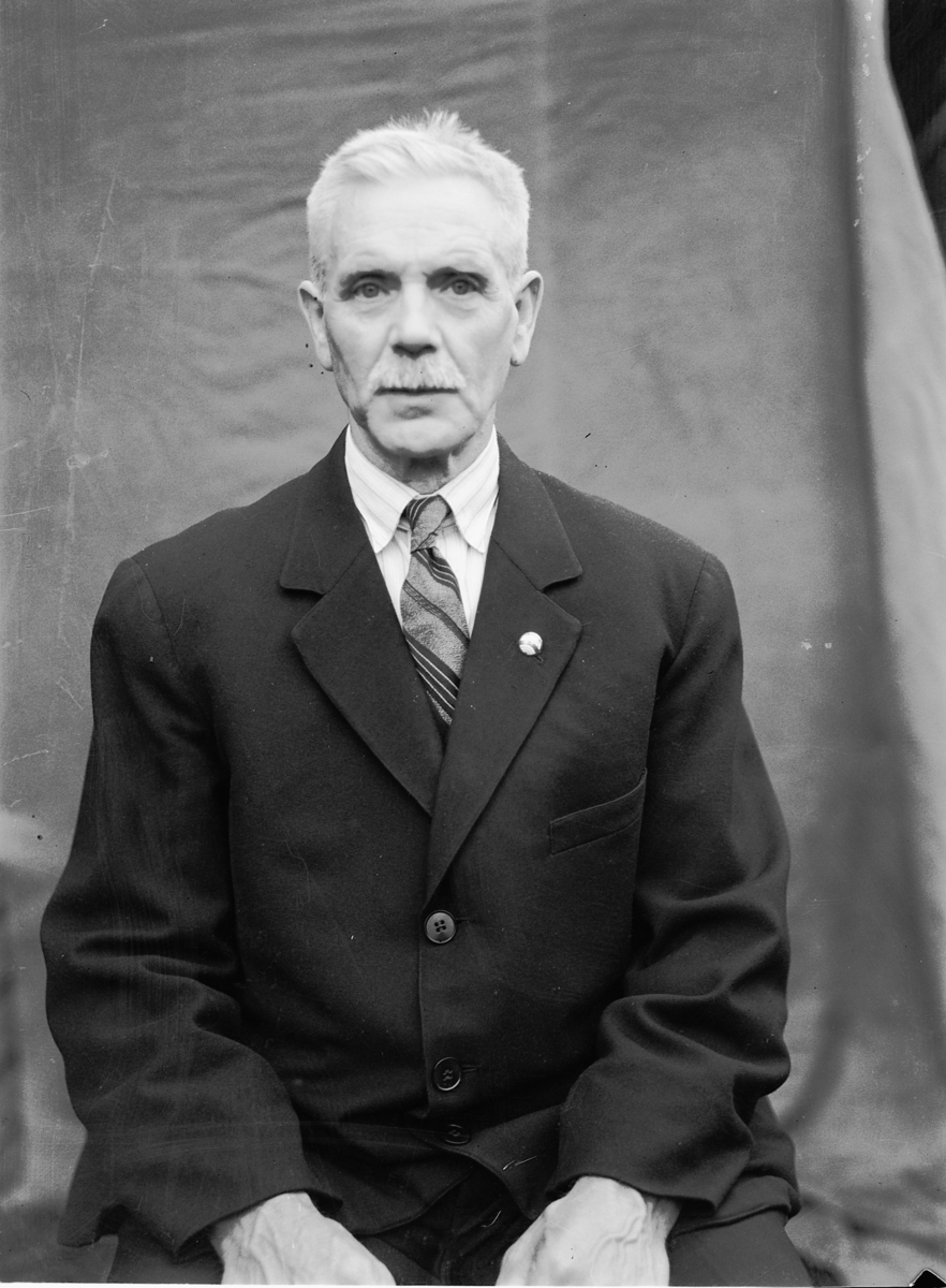 Håkon Prestkværn, Johnsen, portrett, mann.