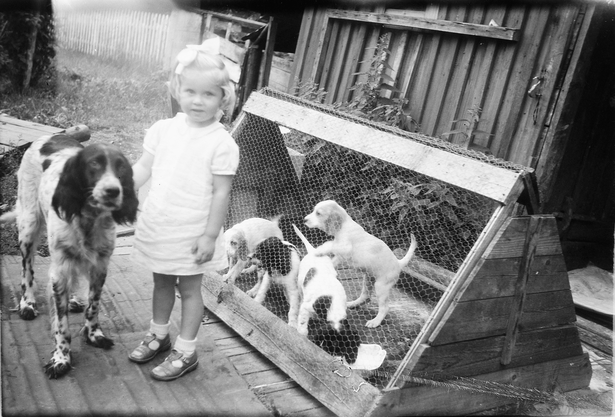Håkon Prestkværn, Ukjent jente med hund og valper.