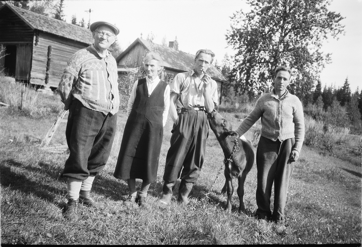 Håkon Prestkværn, Ukjent gruppe mennesker med en kalv, en røyker pipe.