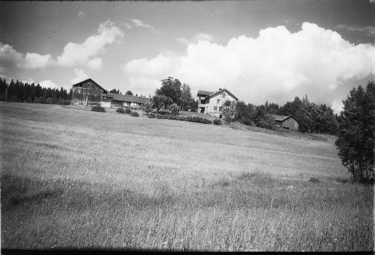 Håkon Prestkværn, Landskap med ukjent gård.