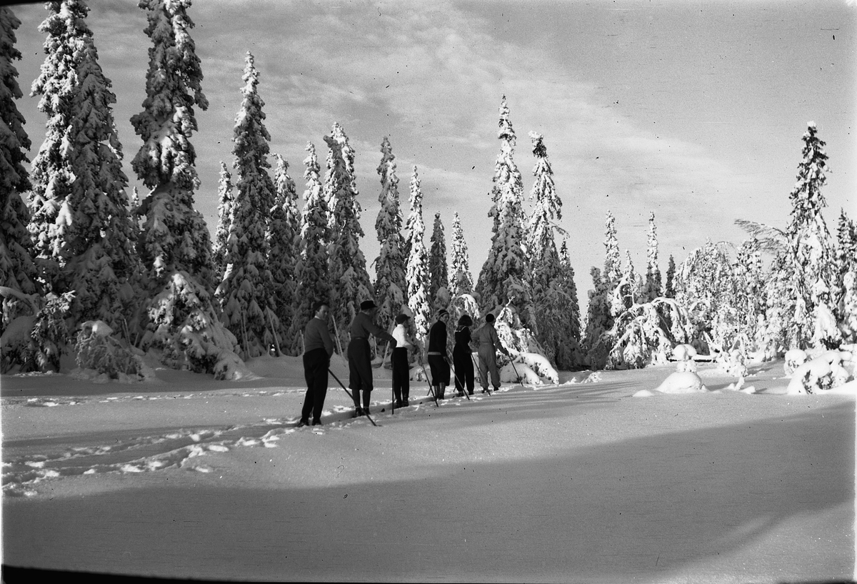 Håkon Prestkværn, Vinterlandskap: Ukjent gruppe på skitur i skogen.