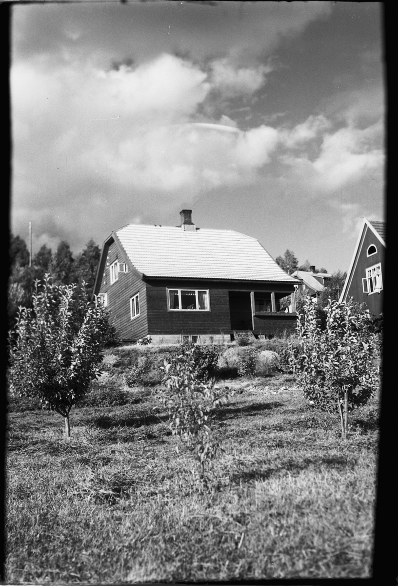 Håkon Prestkværn, Pinnerudveien 83, Moelv.