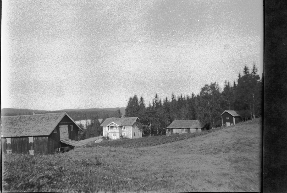 Håkon Prestkværn, Haug gard i Messenlia. Gard med låve og hus.