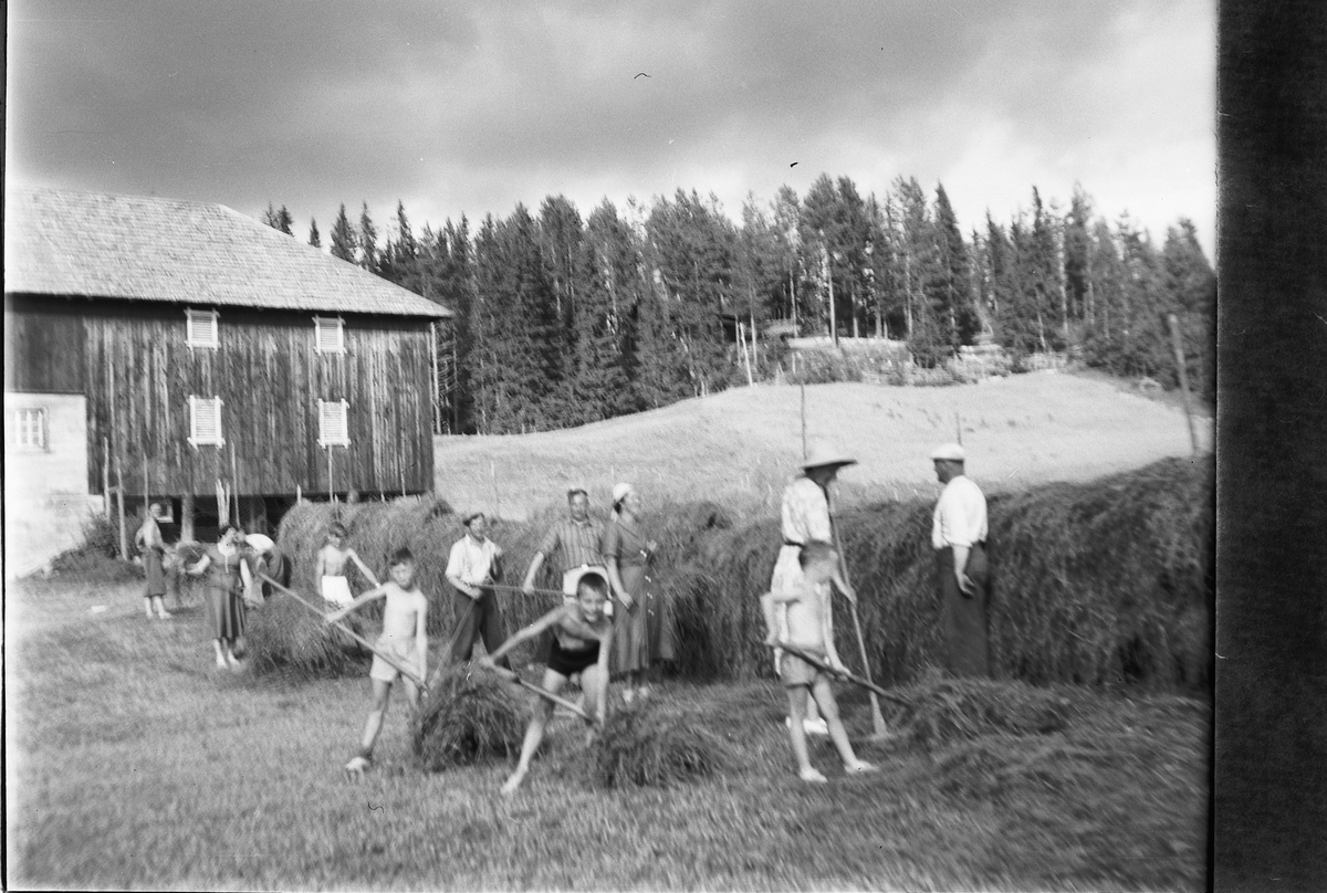 Håkon Prestkværn, Slåttonn. Kvinner, menn og barn hesjer høy foran en låve.