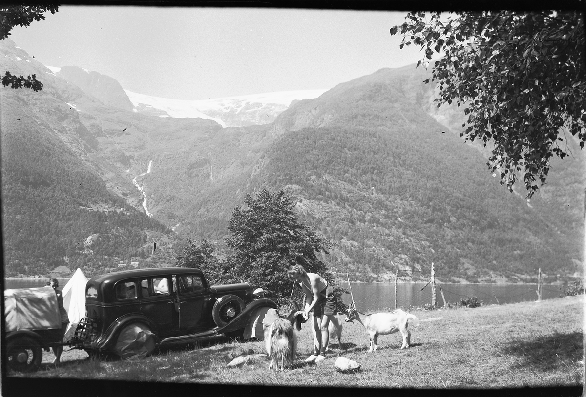 Håkon Prestkværn, Fjellandskap. Kvinne mater geiter foran en bil.