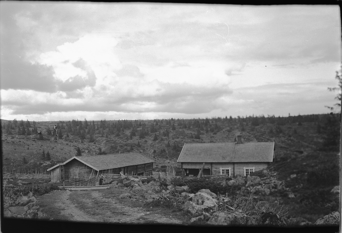 Håkon Prestkværn, Snultra seter i Øyer. Tilhører Steinberg i Ringsaker. Fjellandskap, sæter.