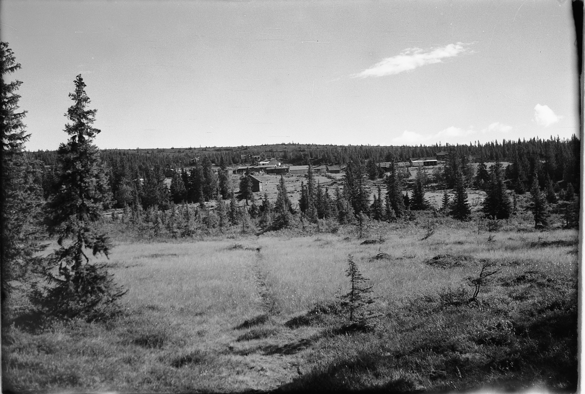 Håkon Prestkværn, En gruppe hus samlet i skogen.