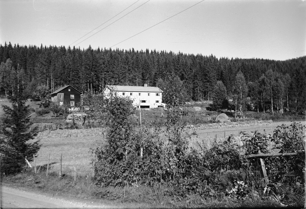 Håkon Prestkværn, Ukjent gard.