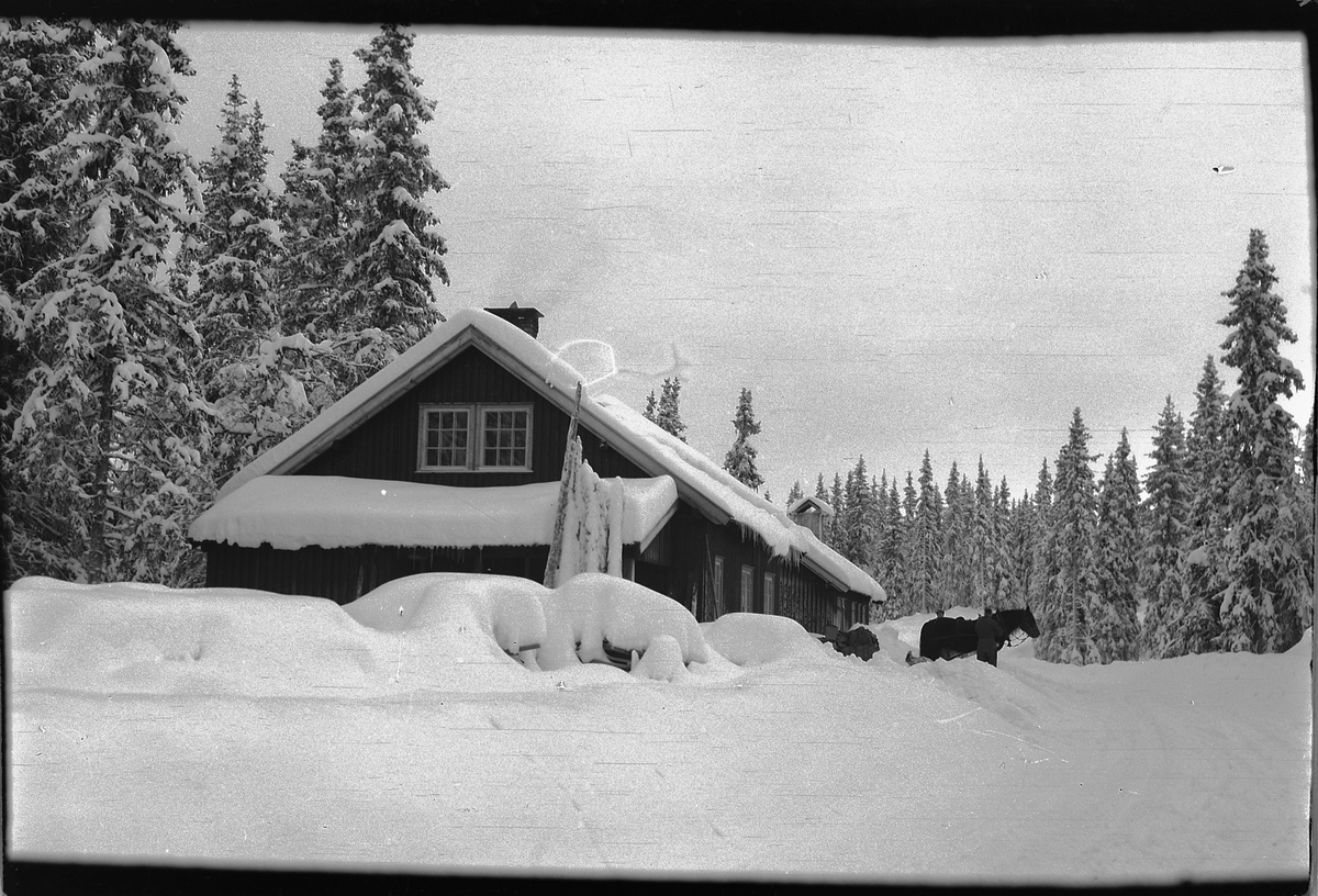 Håkon Prestkværn, Vinterlandskap. Hus i skogen med hest og slede.