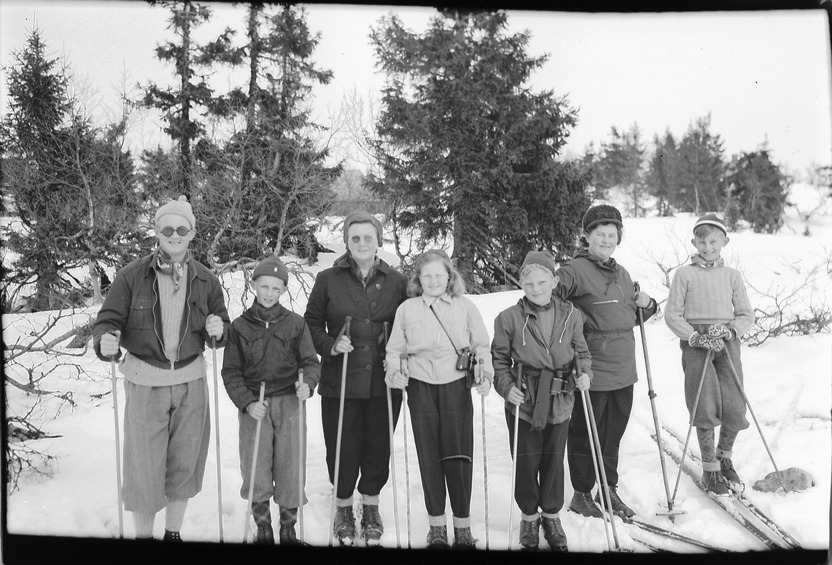 Håkon Prestkværn, Gruppe skigåere i skogen.