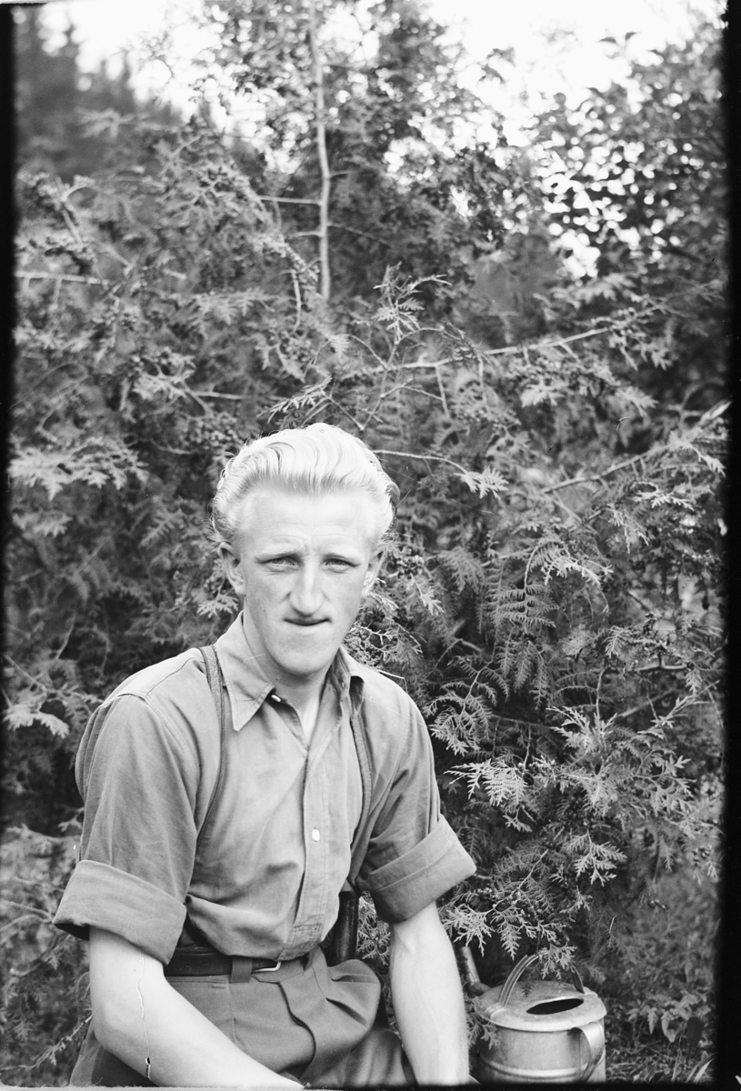 Håkon Prestkværn, ODD NYSTUEN, MOELV.