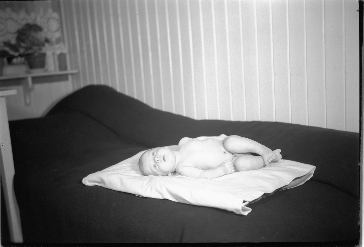 Håkon Prestkværn, Baby på et bord.