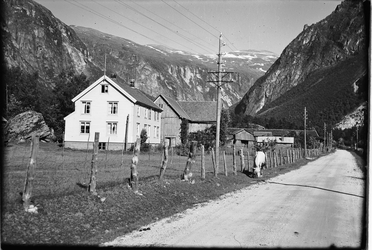 Håkon Prestkværn, Fjellandskap med hus og en hest langs veien. Telefonstolper, Romsdalen?