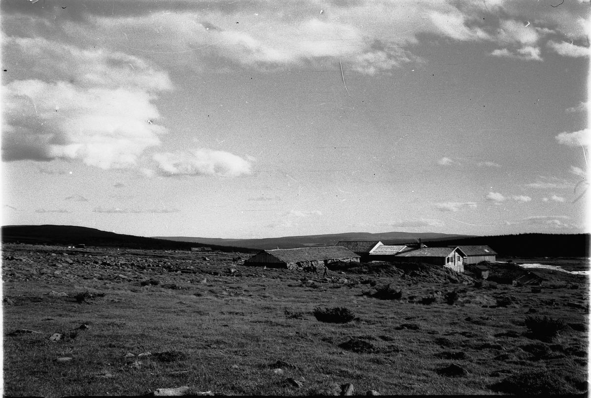 Håkon Prestkværn, Fjellandskap med seter, ukjent.