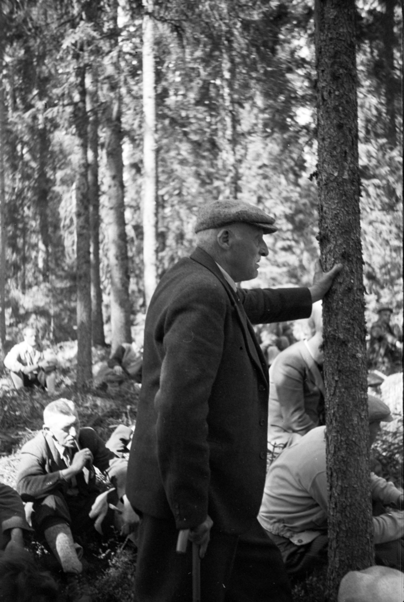 Håkon Prestkværn, Buvika sagbruk, skogbefaring, Ringsaker allmenning. Juni 1949.