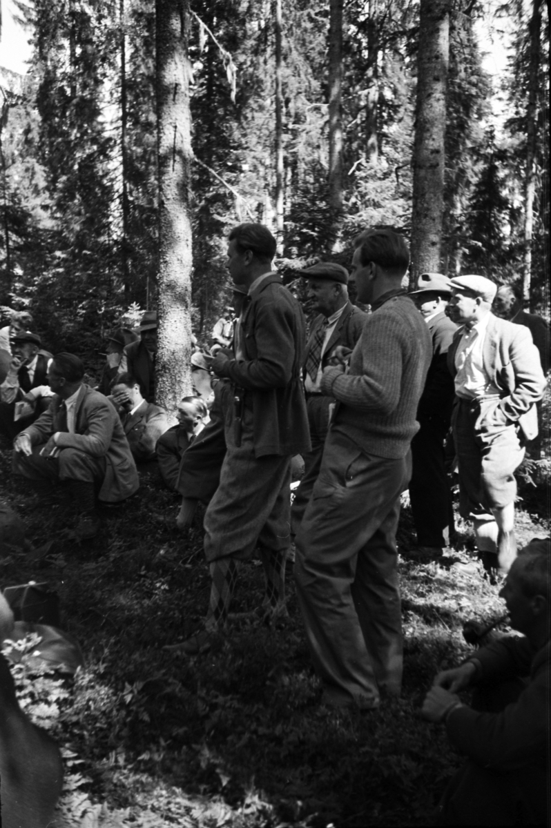 Håkon Prestkværn, Buvika sagbruk, skogbefaring, Ringsaker allmenning. Juni 1949.