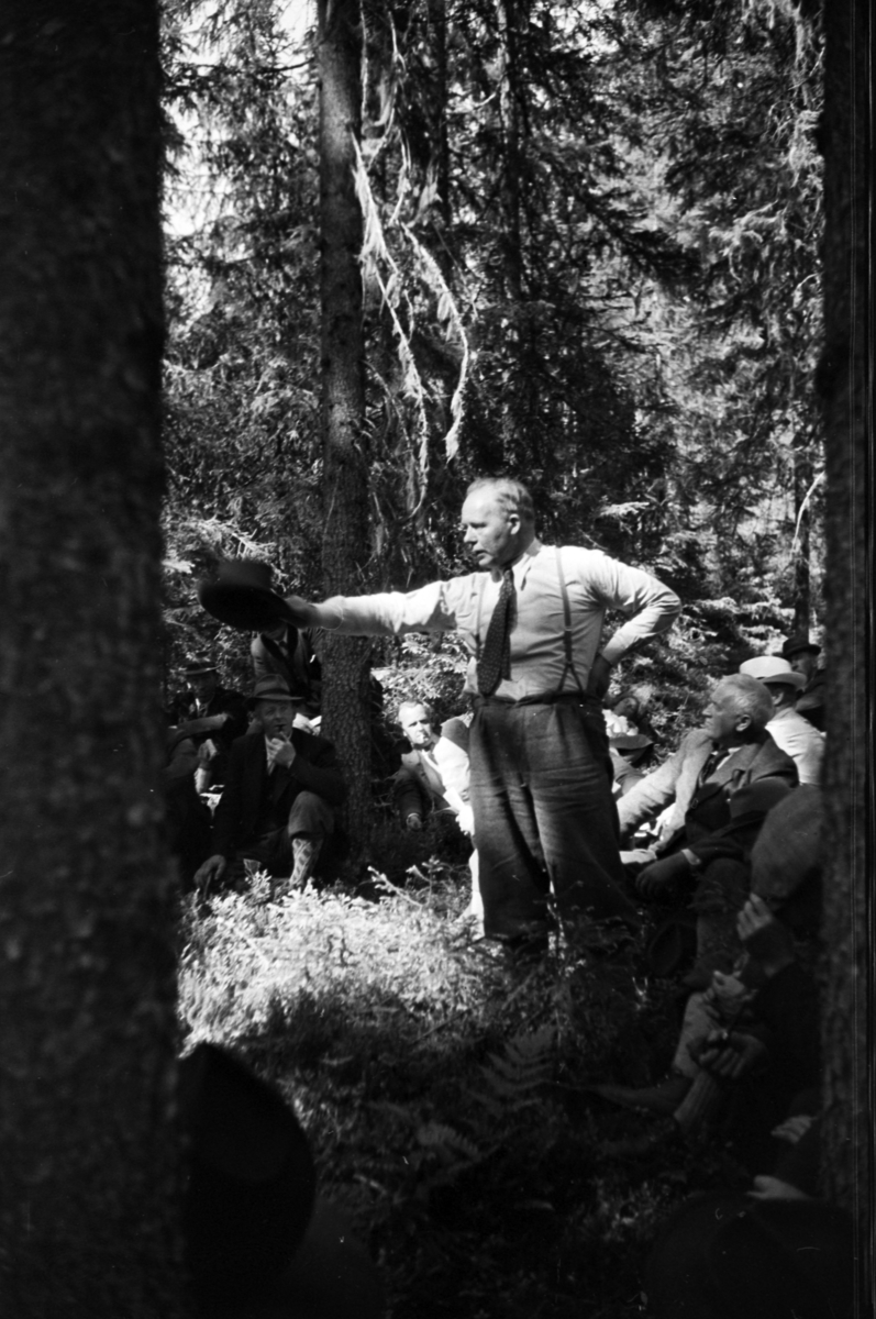 Håkon Prestkværn, Buvika sagbruk, skogbefaring, Ringsaker allmenning. Juni 1949.