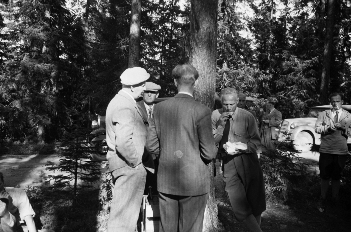Håkon Prestkværn, Buvika sagbruk, skogbefaring, Ringsaker allmenning. Juni 1949. Fire menn i skogen.