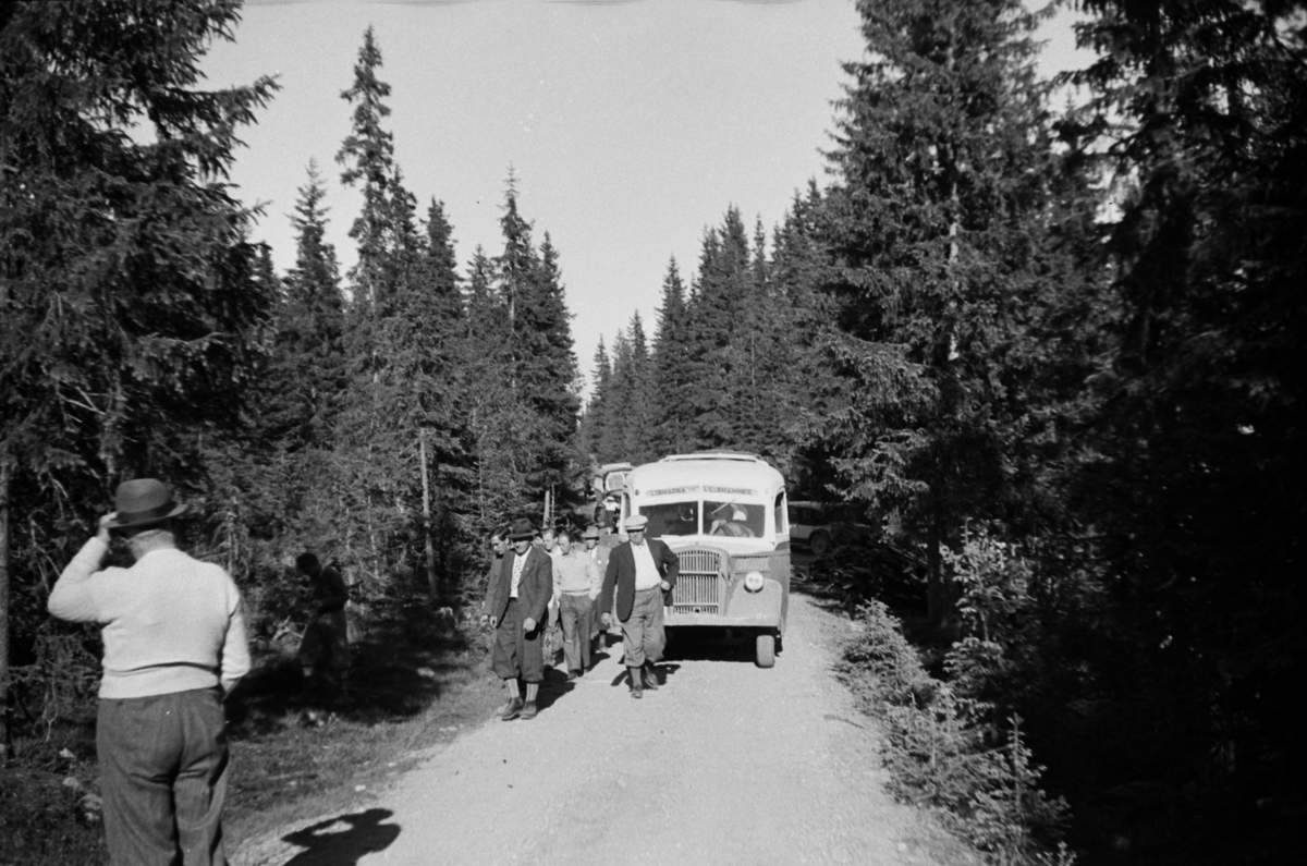 Håkon Prestkværn, Buvika sagbruk, skogbefaring, Ringsaker allmenning. Juni 1949. Gruppe menn på en vei foran en buss.