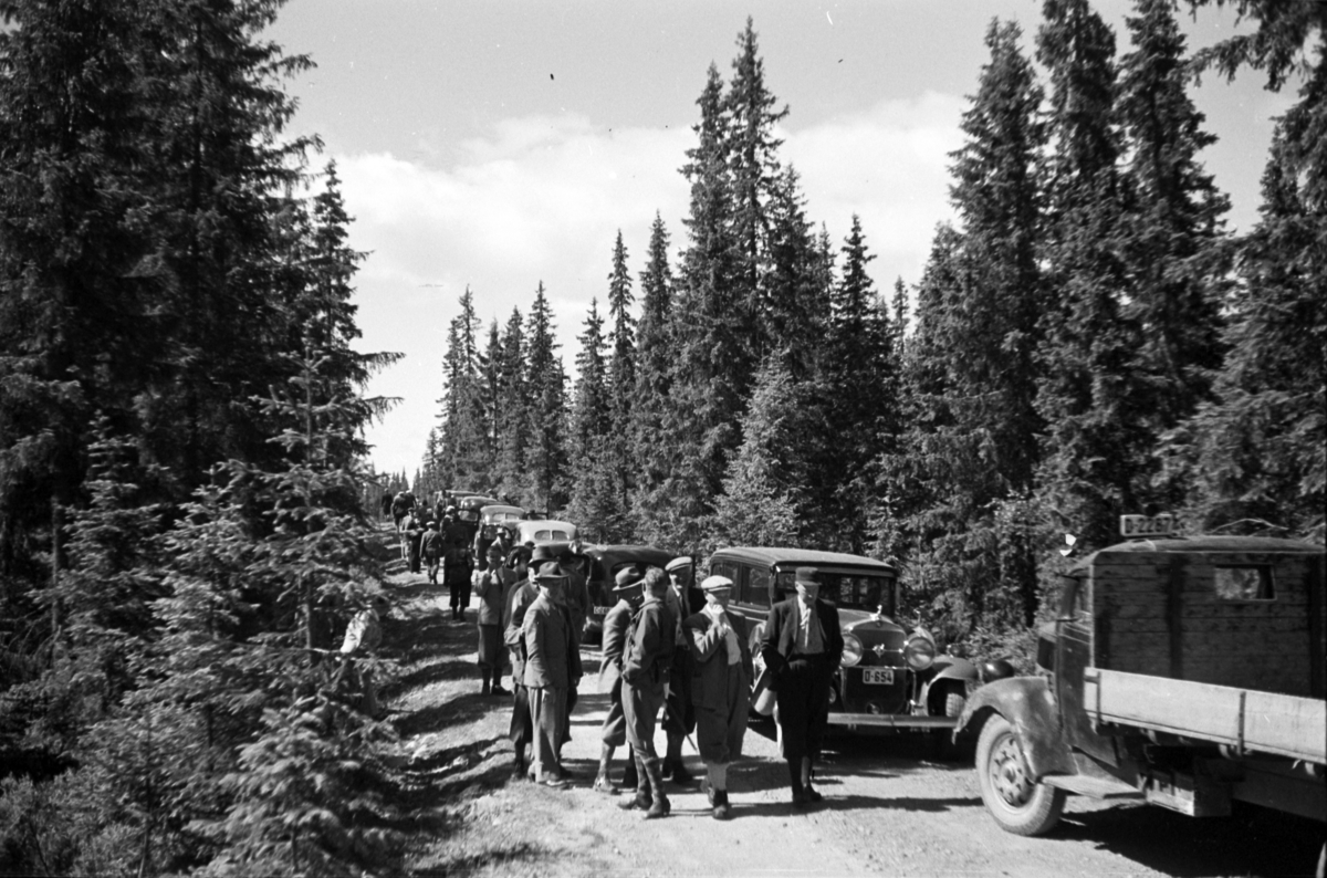 Håkon Prestkværn, Buvika sagbruk, skogbefaring, Ringsaker allmenning. Juni 1949.