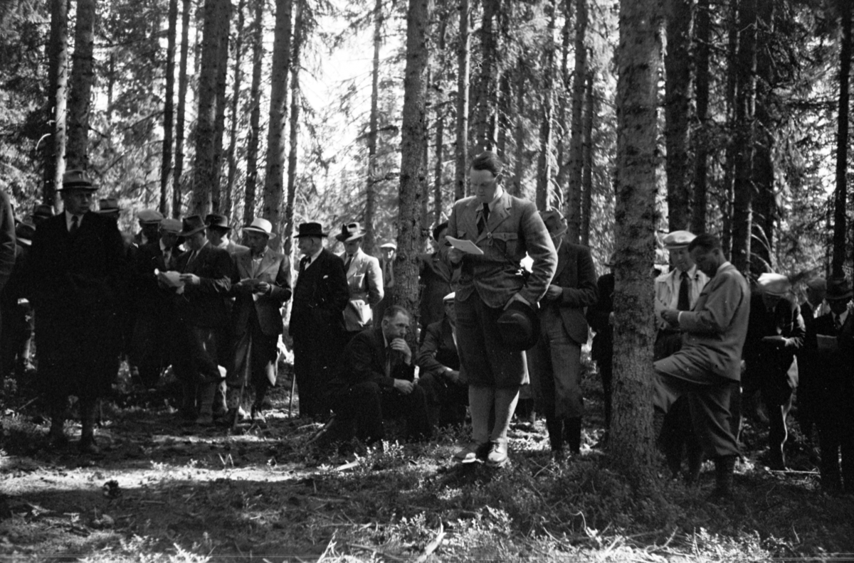 Håkon Prestkværn, Buvika sagbruk, skogbefaring, Ringsaker allmenning. Juni 1949.
